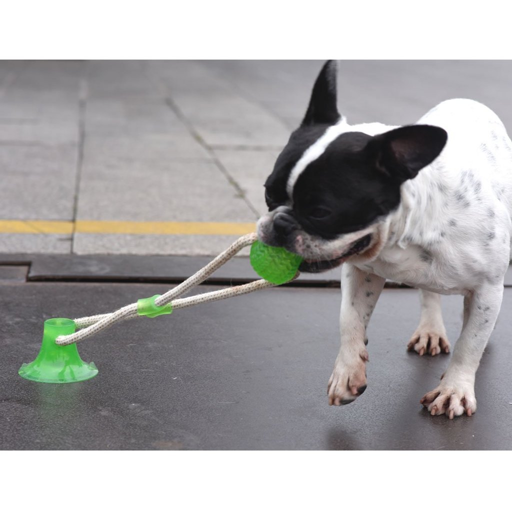 Tuff Ball Dog Toy